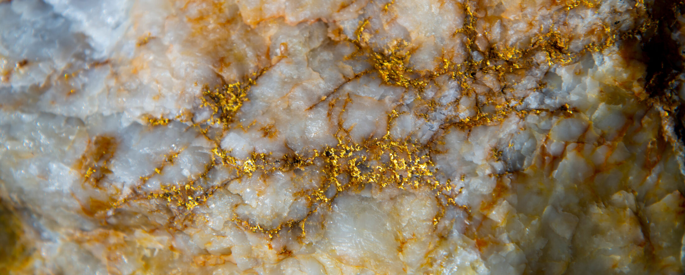A vein of gold in its natural state embedded in quartz.